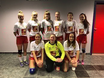 Håndball